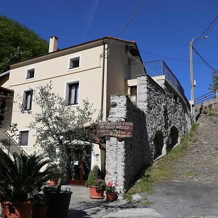 Agriturismo Dai Marchesin Nasino Bagian luar foto