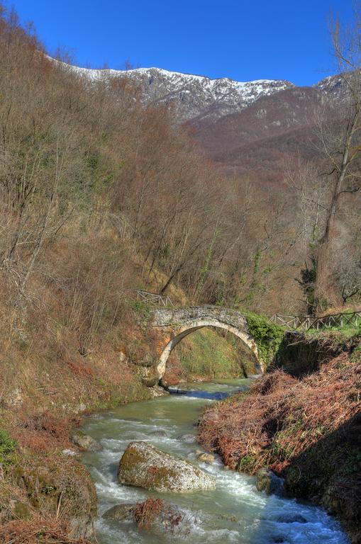 Agriturismo Dai Marchesin Nasino Bagian luar foto